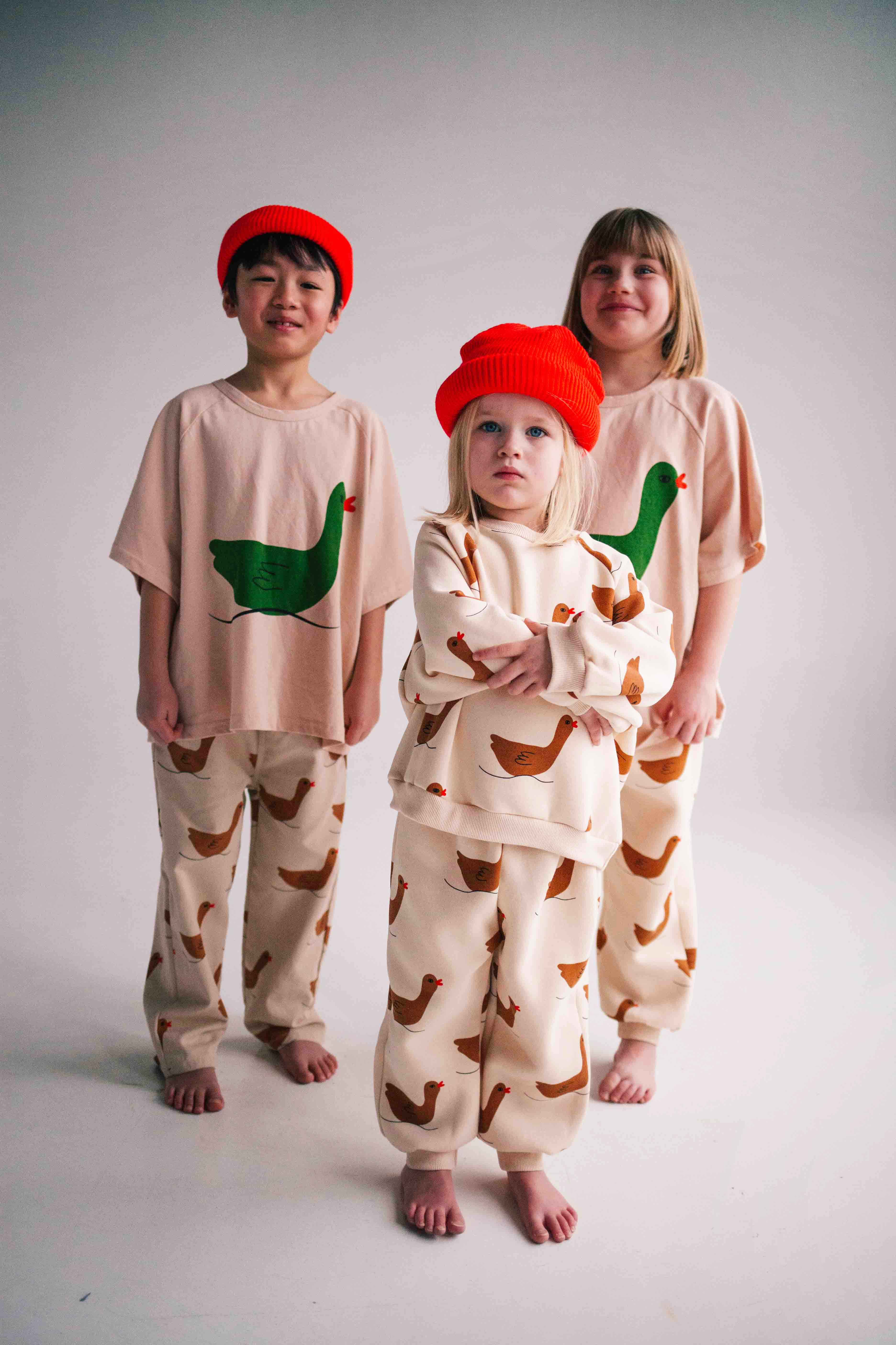 BROWN DUCK SET - Image 3