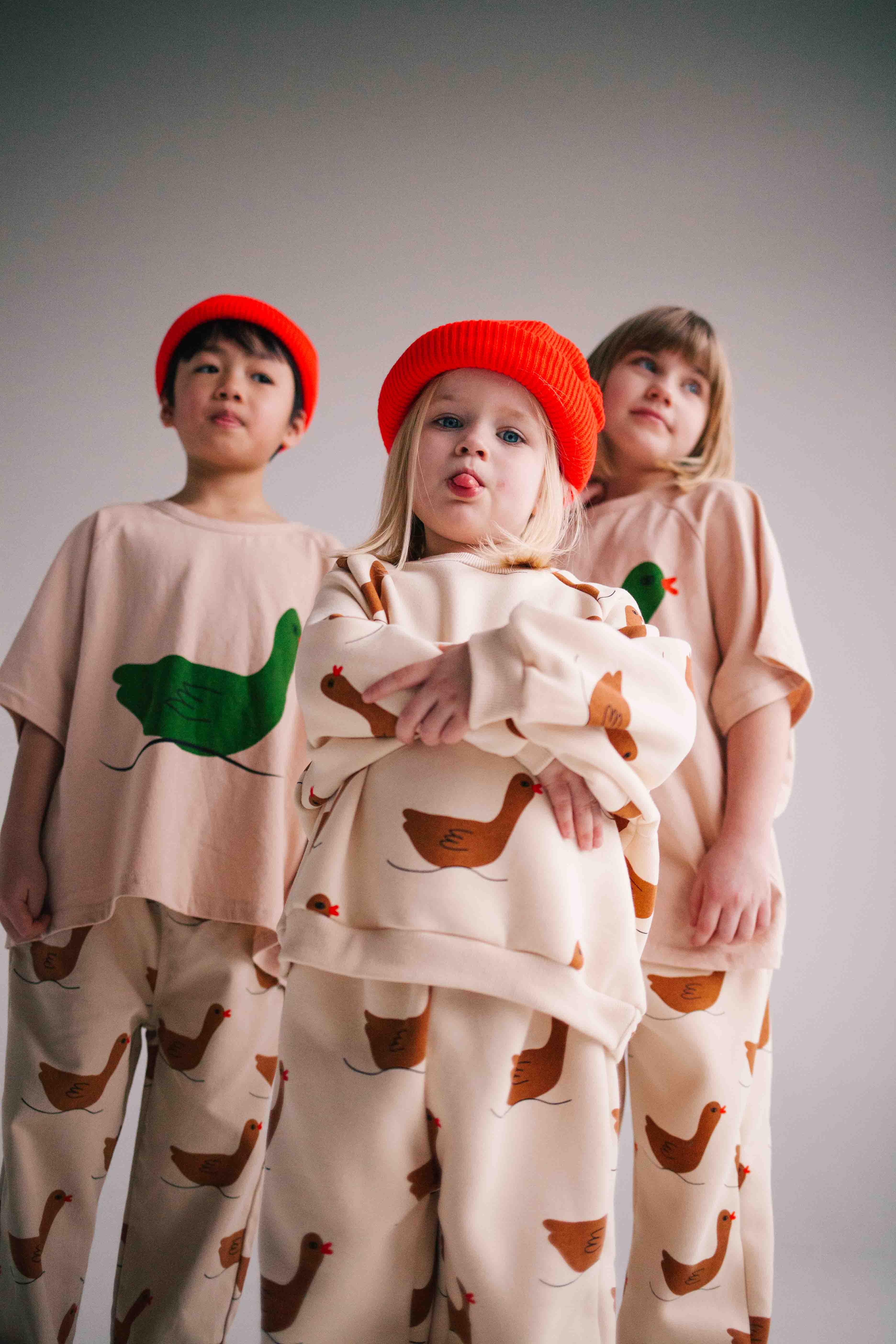 BROWN DUCK SET - Image 6