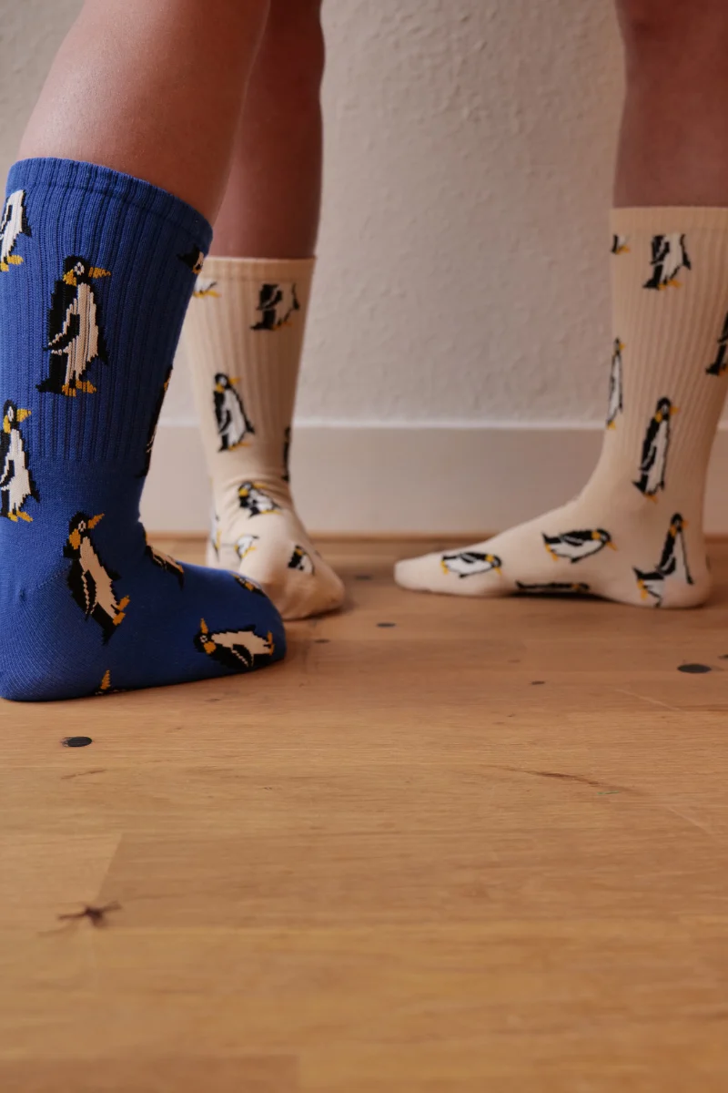 PENGUIN PARADE SOCKS - Image 3